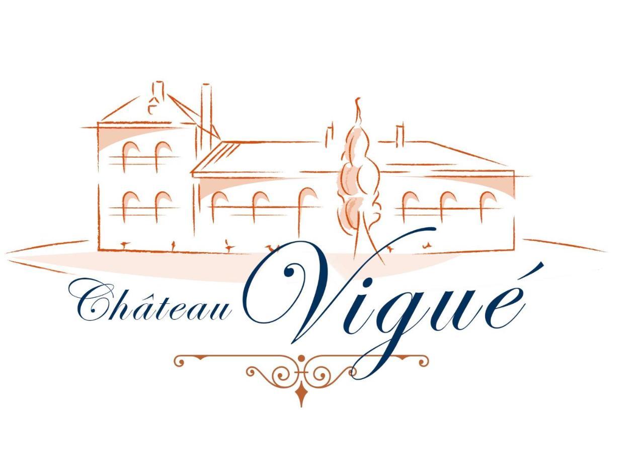 Château VIGUE Le Passage  Extérieur photo